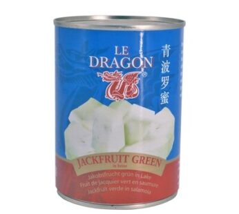 Dragon Jack Fruit Green 24 x 565 g